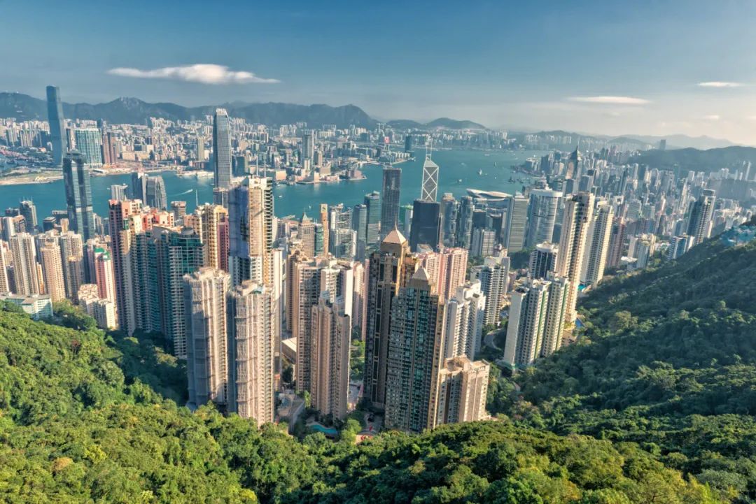 出口未及时退税是否会被强制补